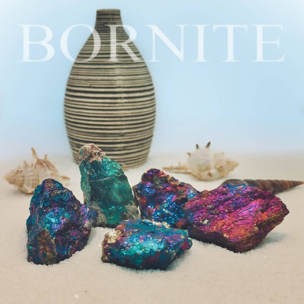 Pfauenerz in Sand mit Muscheln und Vase mit Beschriftung "BORNITE"