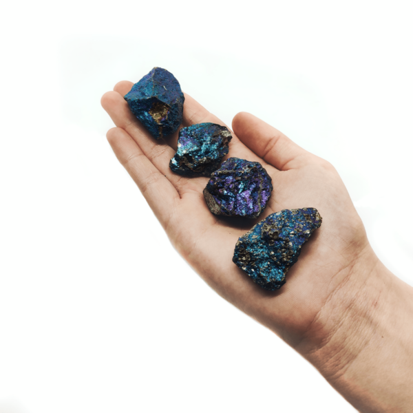 Buntkupferkies Rohsteine von Frauenhand gehalten. Buntkupfer, Bornit oder auch Pfauenerz sind regenbogen-farbene Steine.