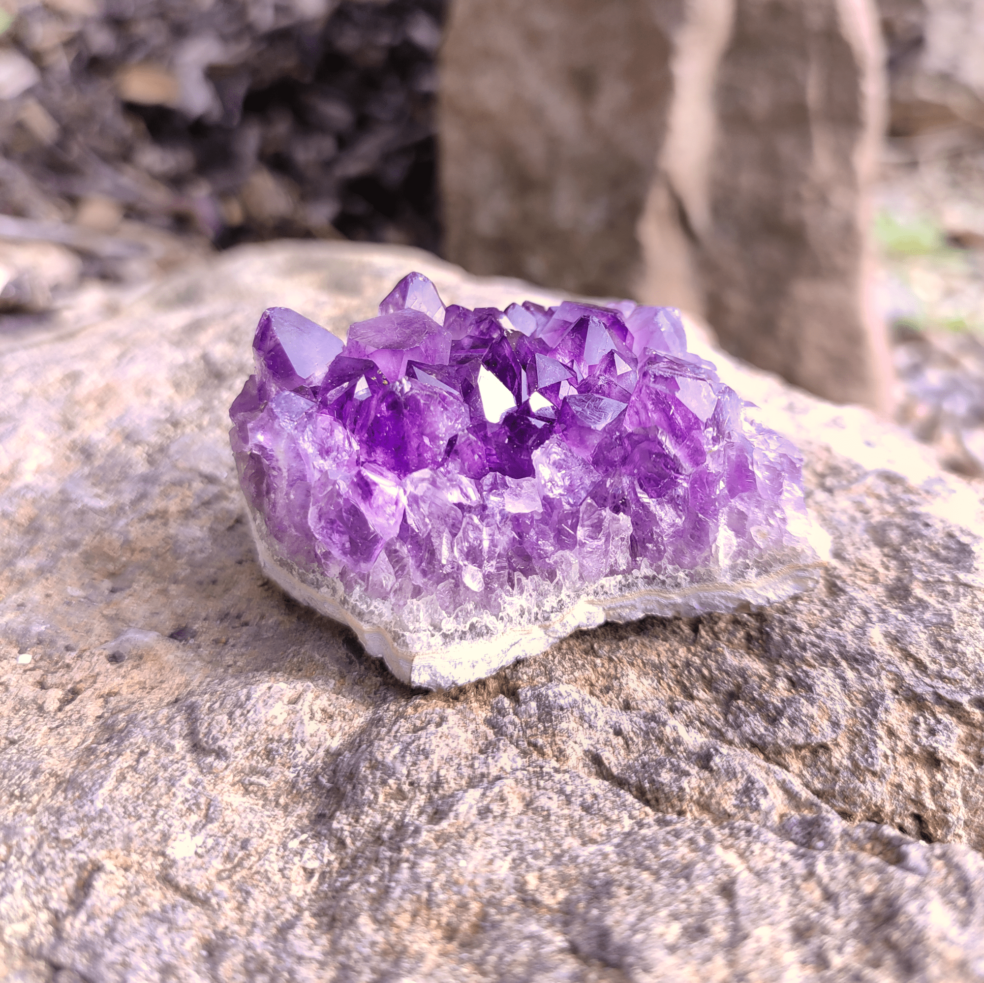 Eine Amethyst Stufe auf natürlichem Hintergrund. Ihre Kristalle sind violett.