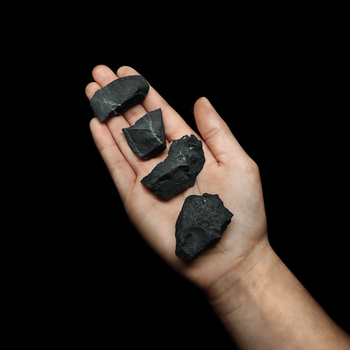 Produktpräsentation von natürlichen schwarzen Schungit Rohsteinen, welche zum Größenvergleich auf einer Frauenhand liegen.