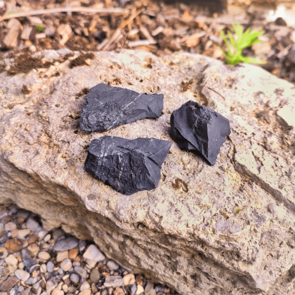 Schungit Rohsteine, welche in der Natur fotografiert wurden. Diese sind schwarz.