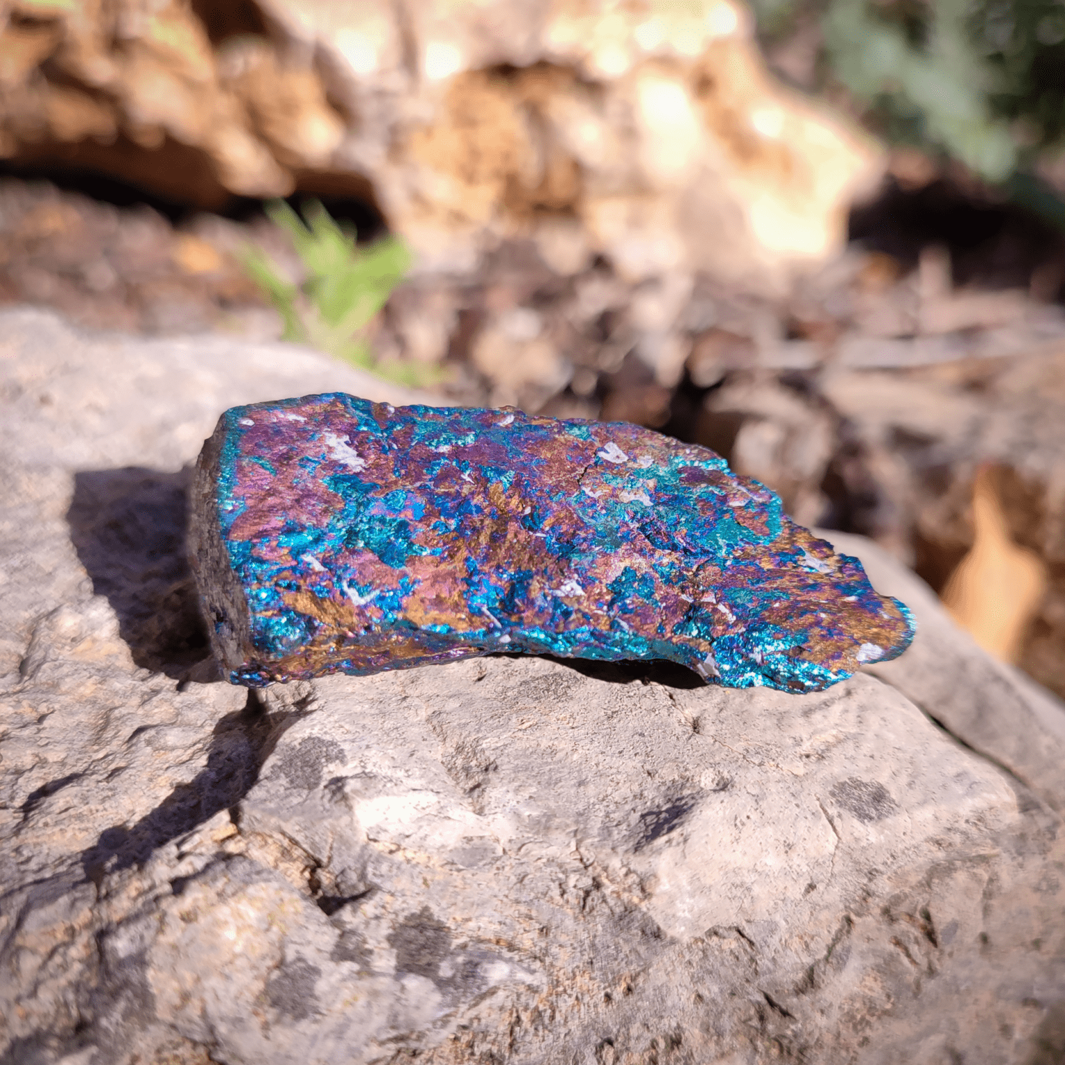 Ein bunt schillerndes Pfauenerz auf natürlichem Steinhintergrund.