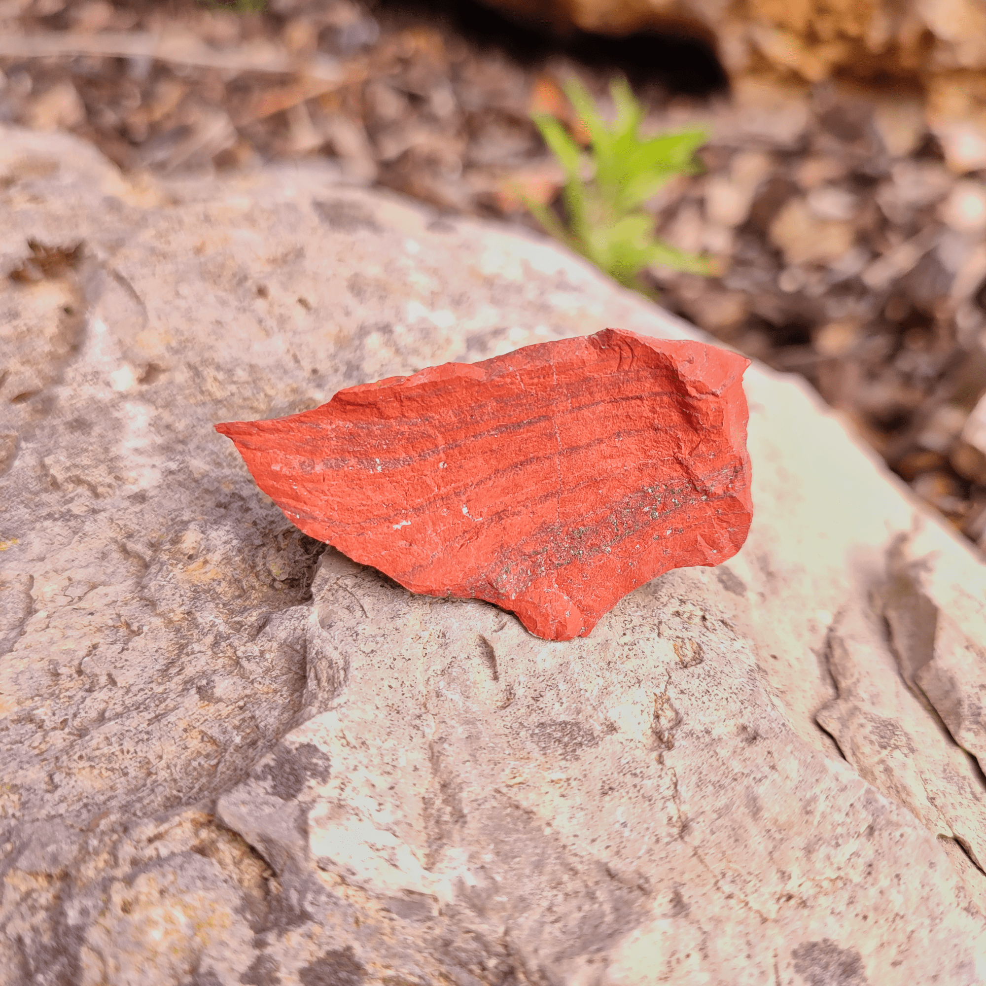 Ein rotbrauner Jaspis Rohstein auf natürlichem Hintergrund. Seine Mineralienstruktur ist gut zu erkennen.