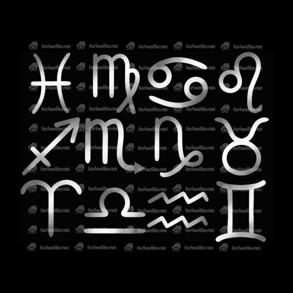 Die alchemistischen Symbole aller 12 Sternzeichen des Tierkreis in Silber mit firstonthesun Wasserzeichen