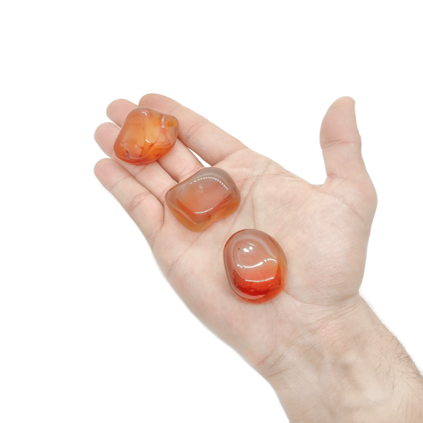 3 intensiv orangene Karneol Trommelsteine aus unserem Online-Shop.
