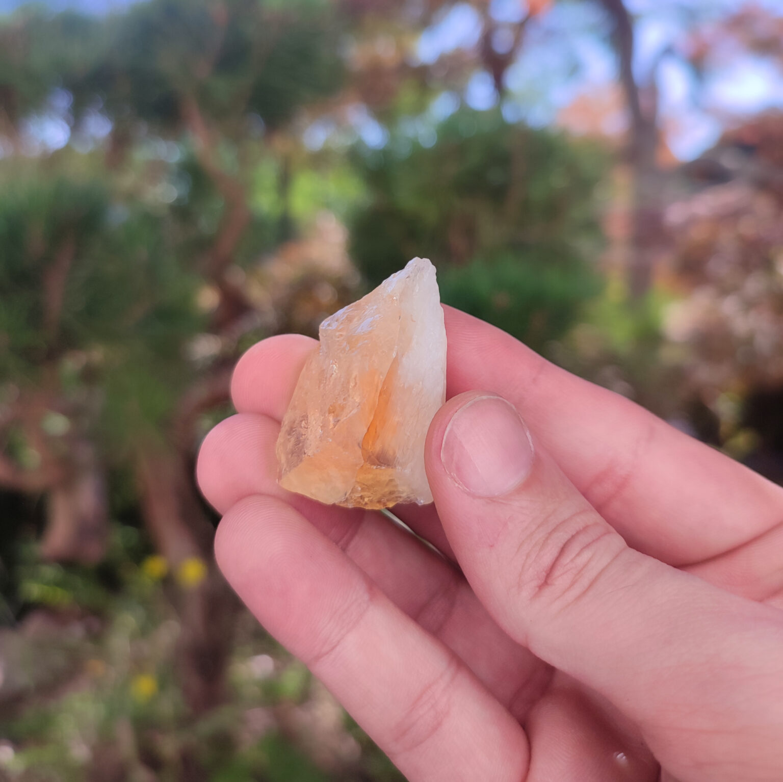 Gelb-orangener gebrannter Amethyst Kristall in der Natur.