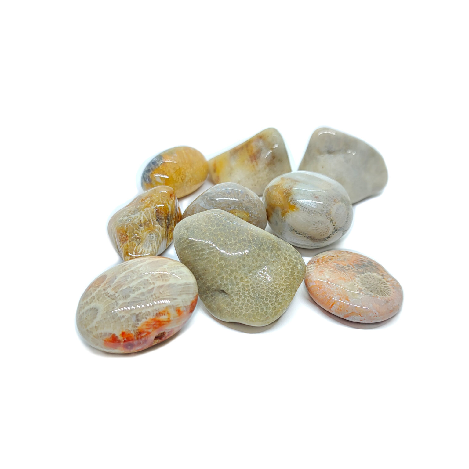 Verschiedenfarbene fossile Korallen Trommelsteine in beige, grün, rot & grau.