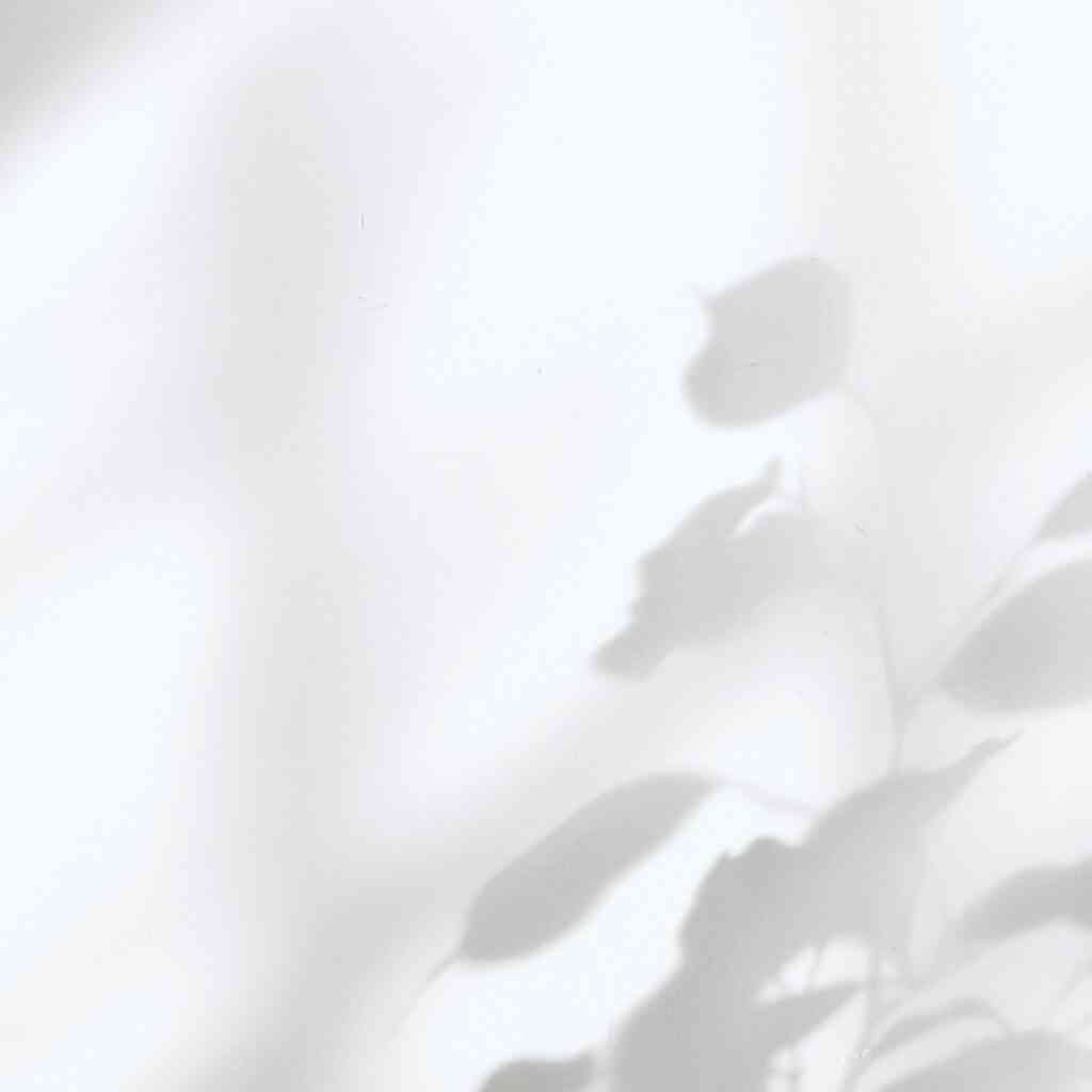 Weiße Kulisse mit Schatten. Symbolbild für die Bedeutung der Farbe Weiß.