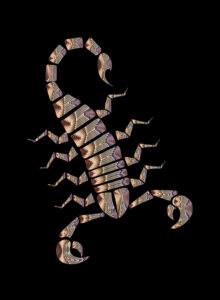 Farbenfrohe Illustration eines Skorpions. Symbolbild für das Totemtier Skorpion.