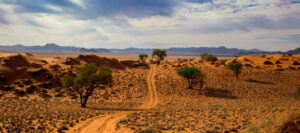 Afrikanische Wüstenlandschaft in Namibia.