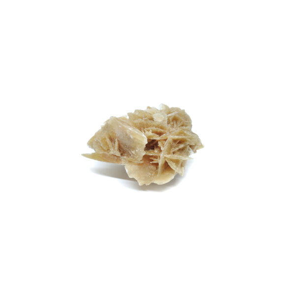 Sandrose aus braunem Wüstengestein. Die Form des Minerals erinnert an eine Blüte.