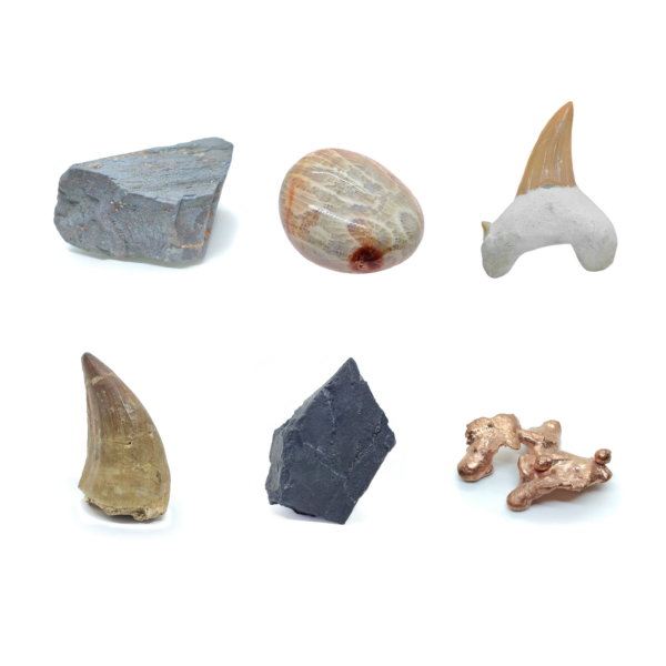Mineralien-Set bestehend aus Hämatit, Fossiler Koralle, Haizahn, Mosasauruszahn, Schungit & Kupfer.