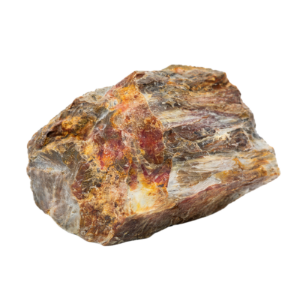 Versteinertes Holz Rohstein