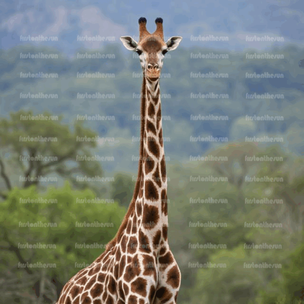 Tier-Stockfoto in der Natur. Tier Nahaufnahme zum Download. Auf dem Produktbild befindet sich ein Wasserzeichen.