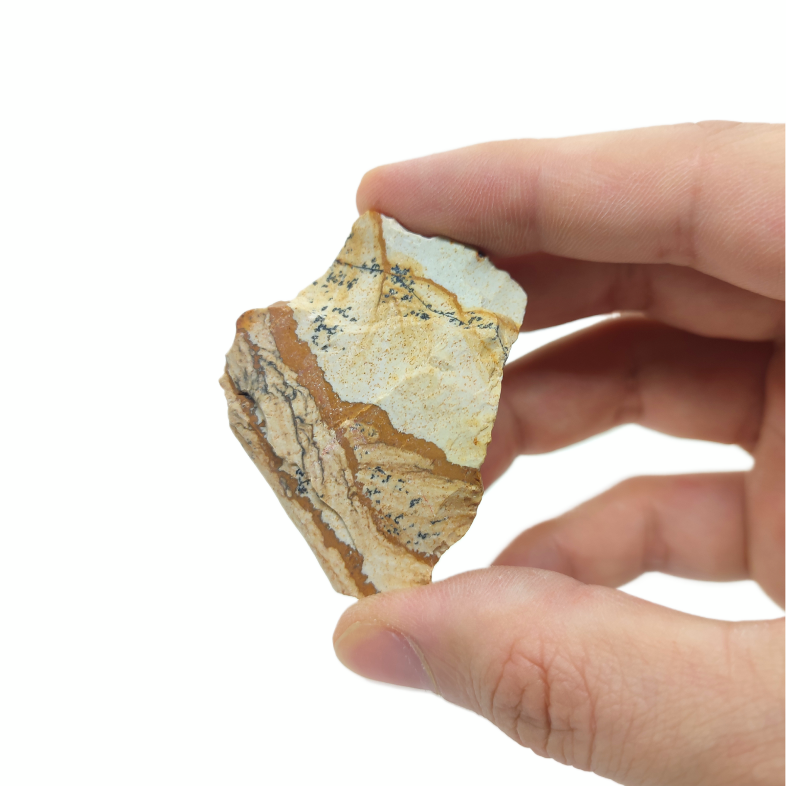 Ein Landschaftsjaspis Stein